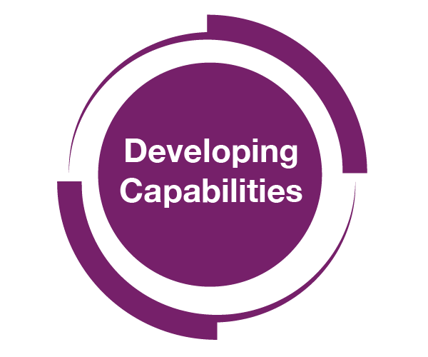 Developing Capabilities